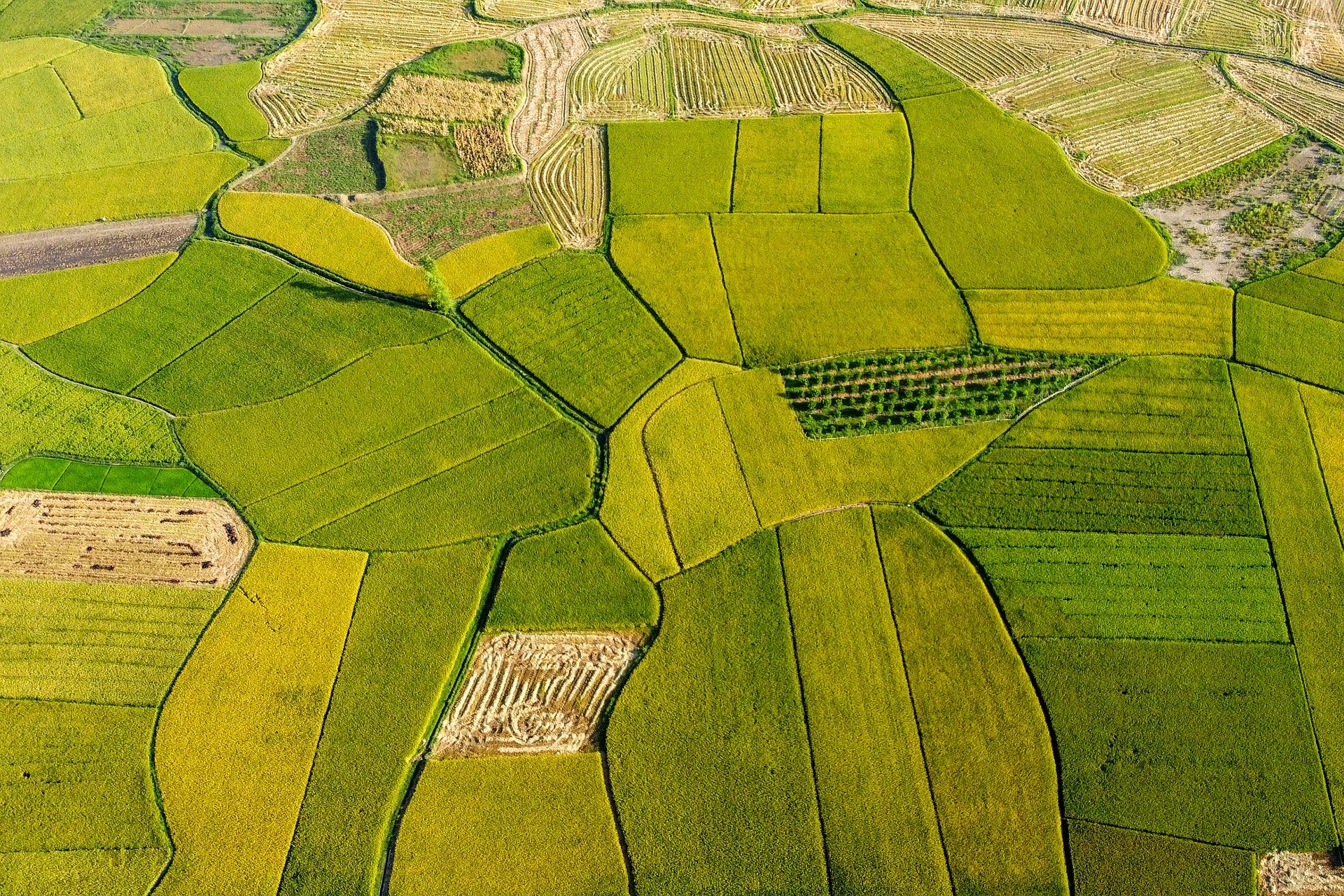 Aerial view of patchwork farm fields